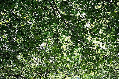 KK官方对战平台新图《双生之战-OMG自走棋》惊喜上线！引爆dota团战新体验！