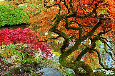 沉浸式恋爱游戏《爱上变身情人》Steam页面上线 发售日待定